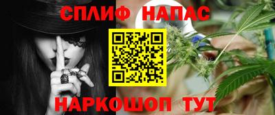 крисы Краснодар