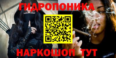 крисы Краснодар