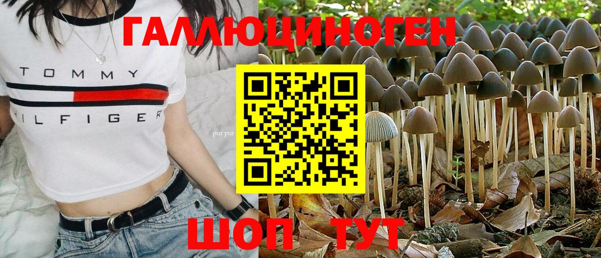 Псилоцибиновые грибы Psilocybe Керчь