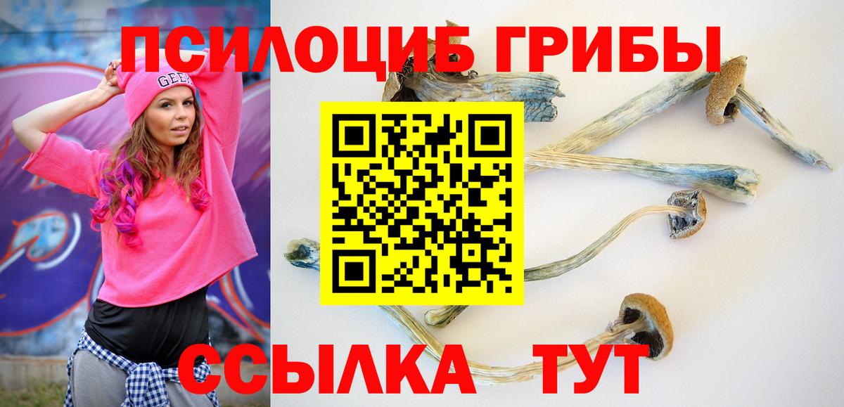 Псилоцибиновые грибы Psilocybine cubensis  Вход с VPN  Керчь 